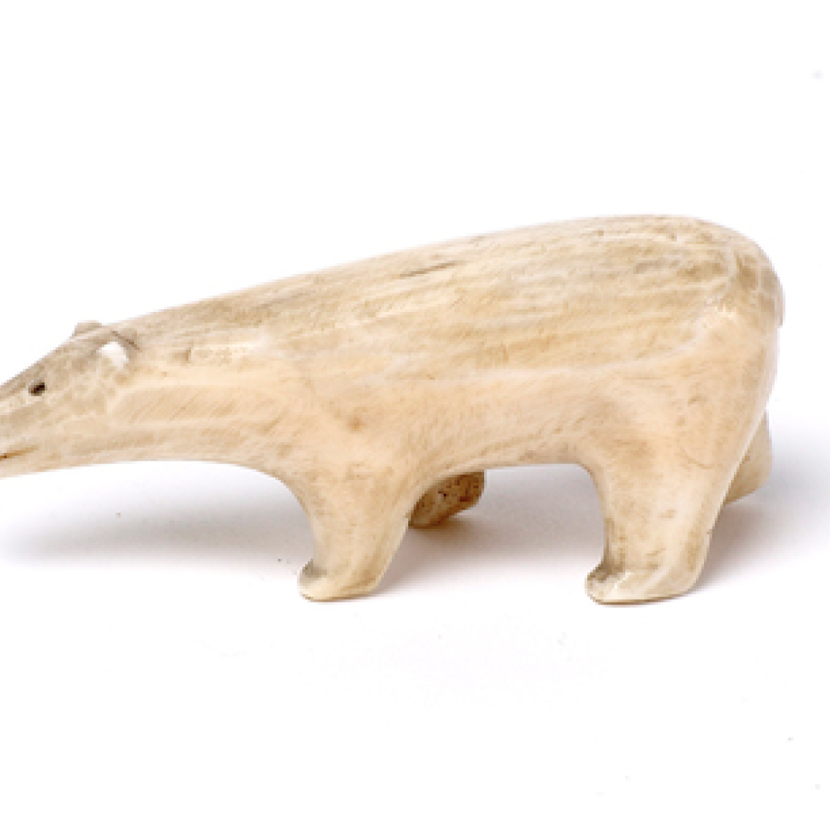 A Polar Bear Carved From Bone