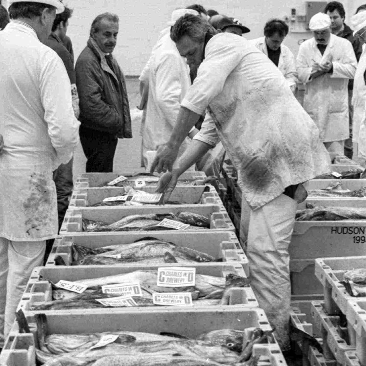 Fish Market 27